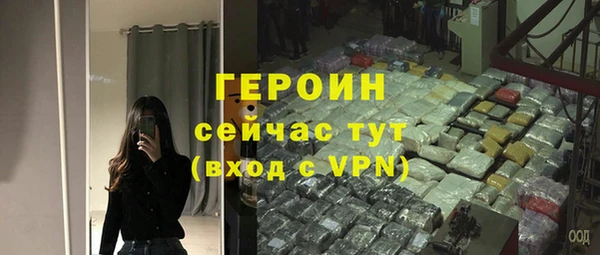 индика Заводоуковск