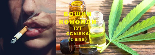 индика Заводоуковск