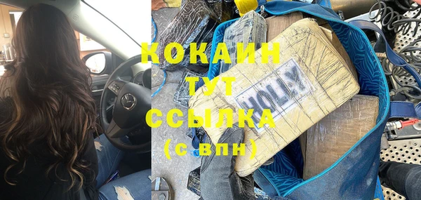 шишки Заволжск
