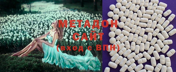 шишки Заволжск