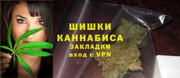 индика Заводоуковск