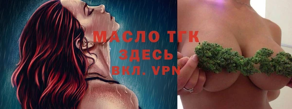 индика Заводоуковск