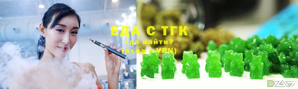 индика Заводоуковск