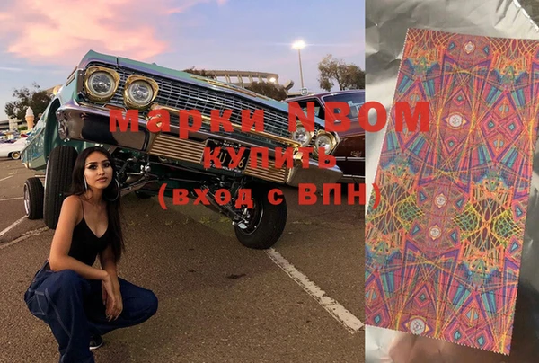 индика Заводоуковск