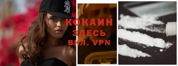 шишки Заволжск