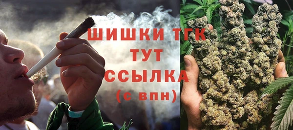 шишки Заволжск