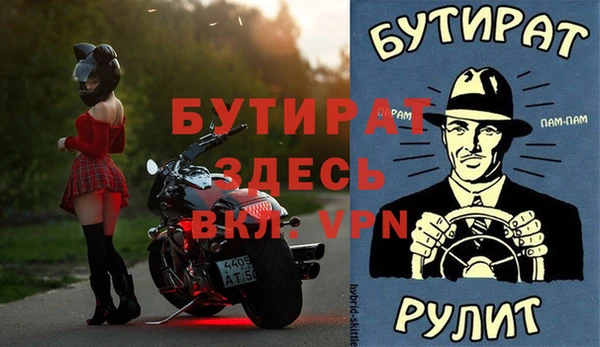 индика Заводоуковск