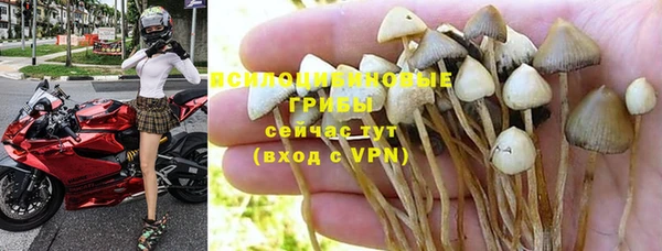 jwh Зерноград