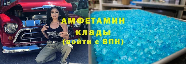 индика Заводоуковск