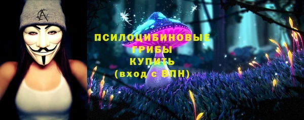шишки Заволжск