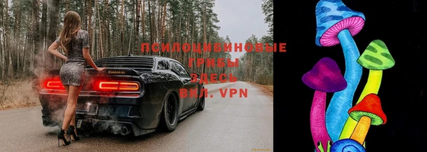шишки Заволжск