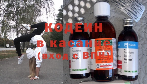 индика Заводоуковск