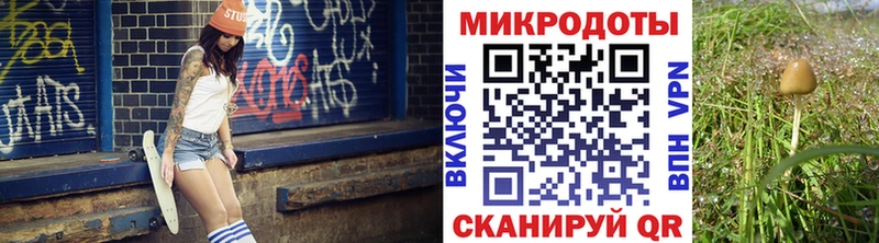 Псилоцибиновые грибы GOLDEN TEACHER  Купить закладки  Дагестанские Огни 